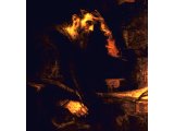 The Apostle Paul, by Rembrandt van Ryn, 1657 - Widener Collection